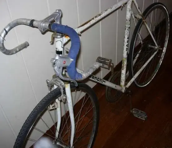 Bianchi1.webp