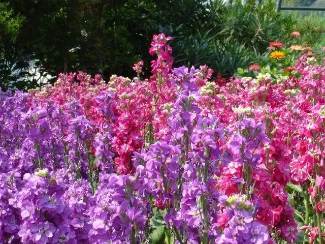 1554resize.webp