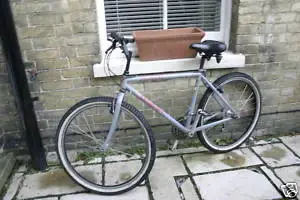 91 stumpy.webp
