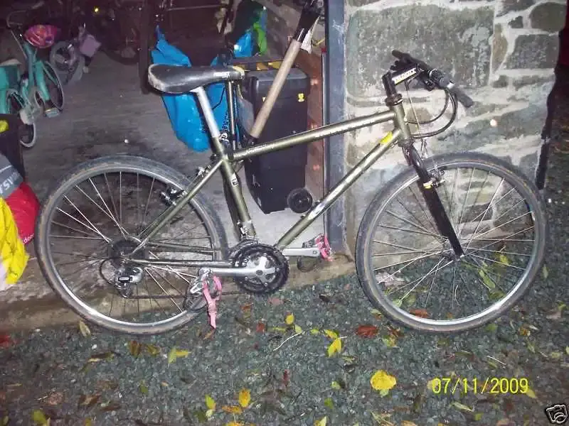 1991 Cinder Cone size 16.webp