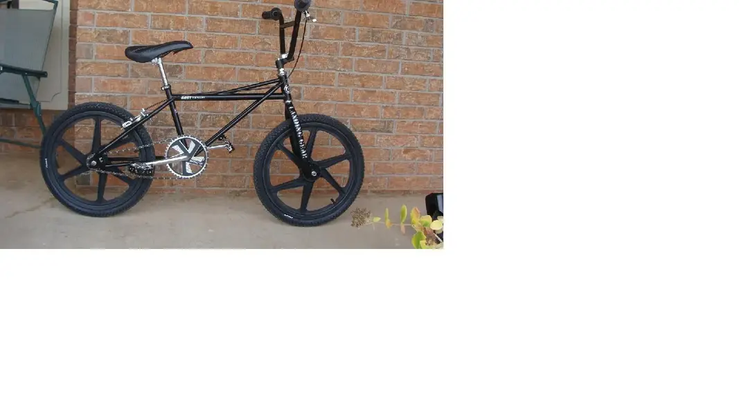 resizedquad.webp