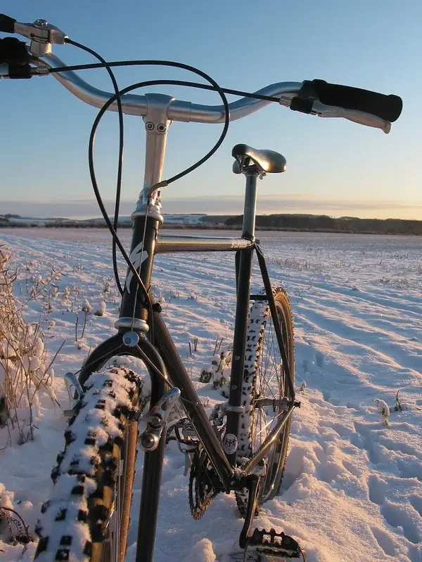 ST 2009 005.webp