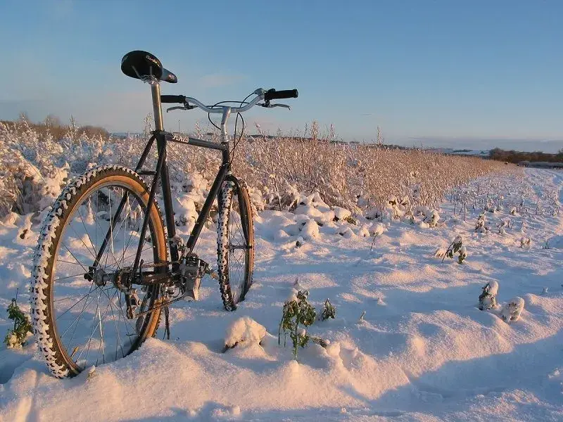 ST 2009 002.webp
