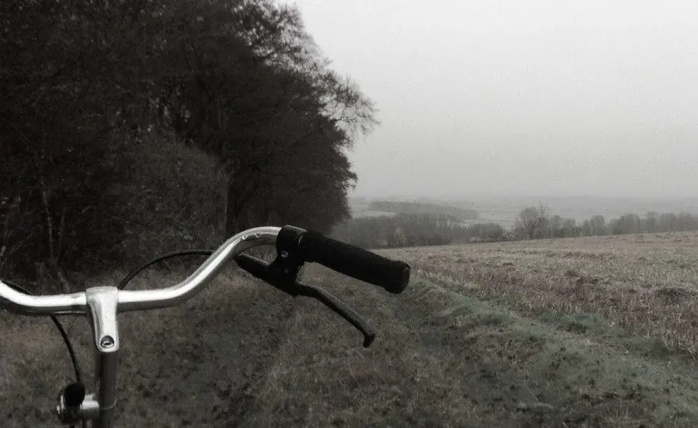 Ride Nov 12 crop (2).webp