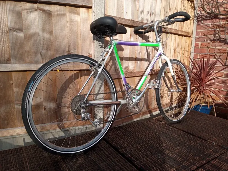 03 Bike - Rear.webp