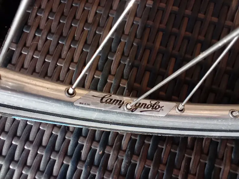 08 Rims.webp 08 Rims.webp