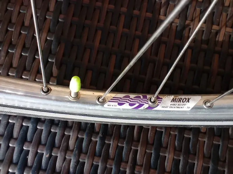 09 Rims.webp