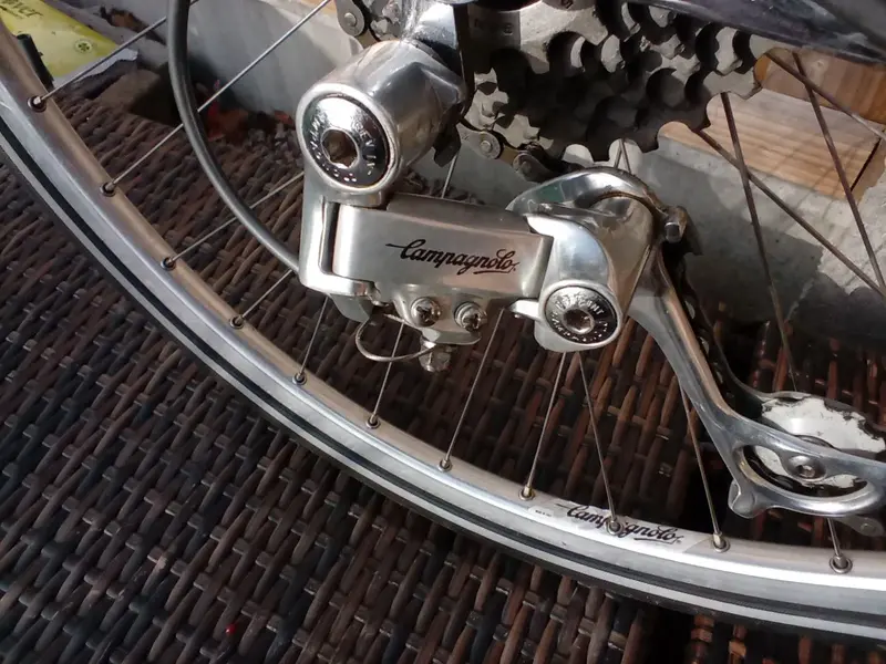 16 Rear derailleur.webp