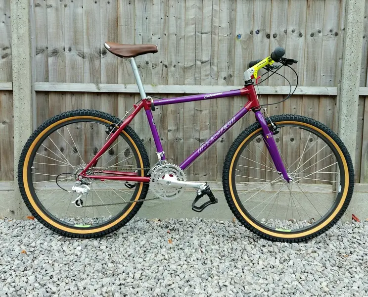 8Aug boy O boy's 1991 Raleigh Dynatech Endeavour.jpg