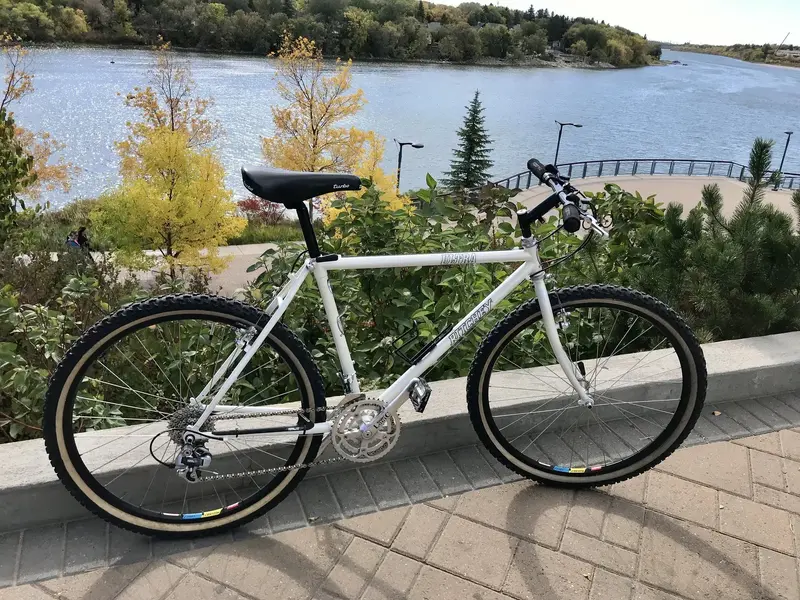 10Oct Watchman123’s 1989 Ritchey Ultra.jpeg