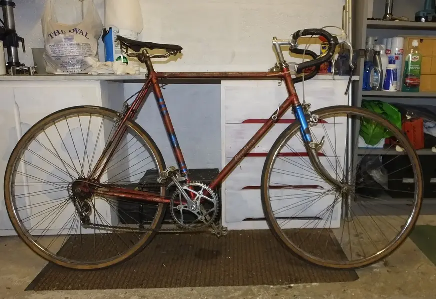 DSCF3779-1.webp
