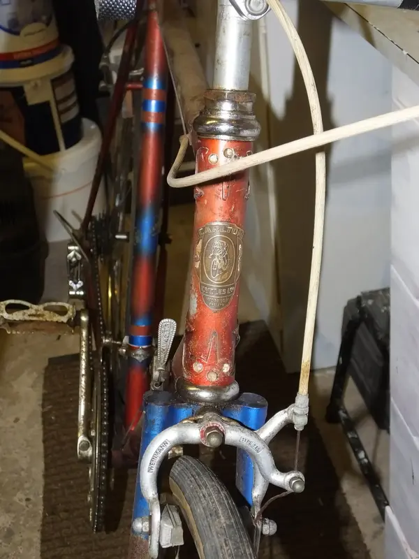 DSCF3781.webp