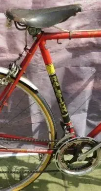 team_raleigh_europa_racing_bike_100_ono_tel_or_text_07943575702_6421403~2.jpg