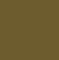 147C.webp