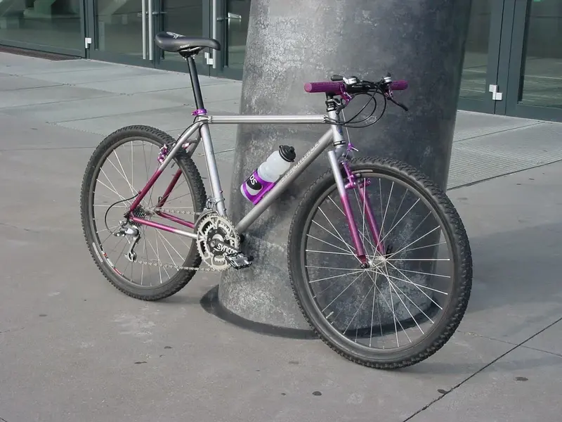 DSC00023.webp