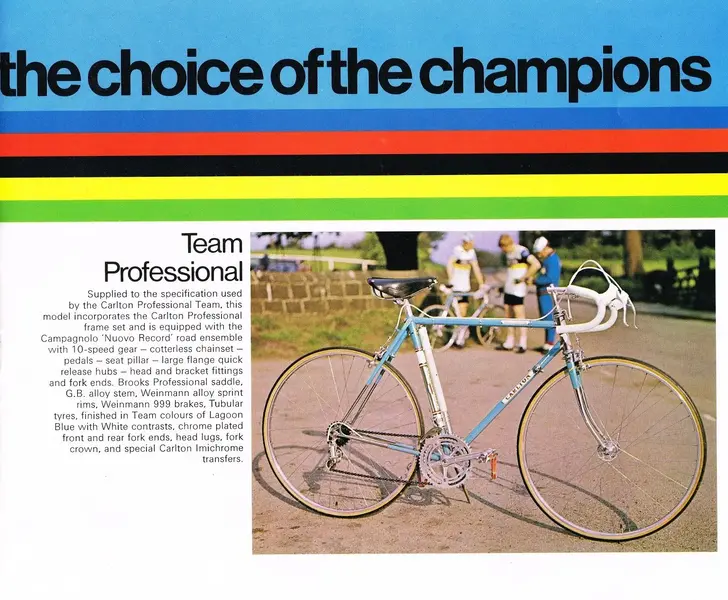 Carlton Team Professional.webp
