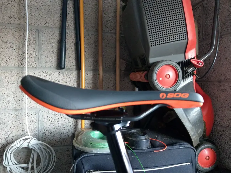 IMAG2344.webp
