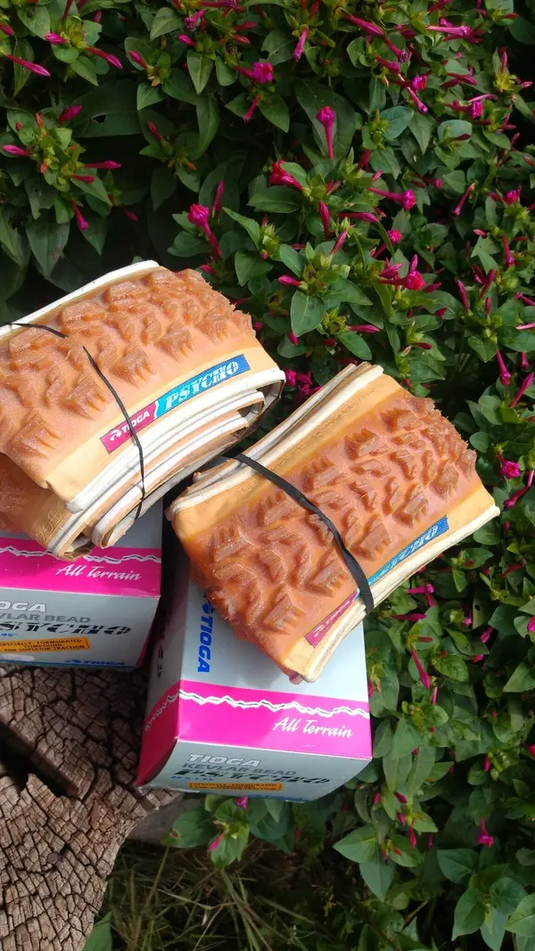 IMG-20220223-WA0083.webp