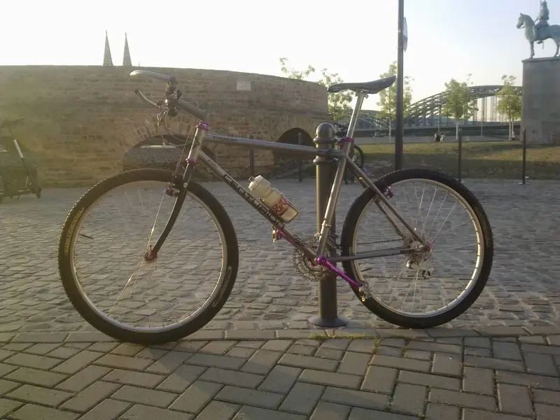 Bild5840.webp
