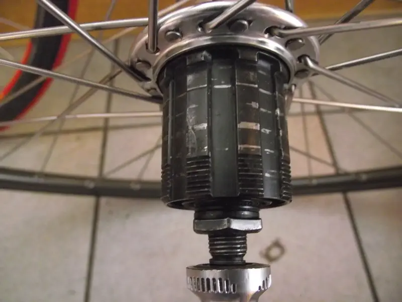 DSCF6361.webp