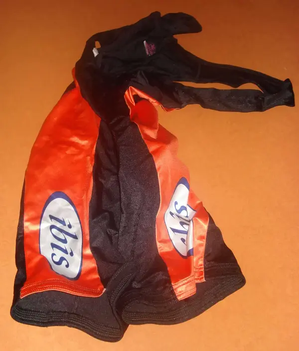 Ibis_1.webp