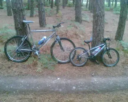 Bikes.webp