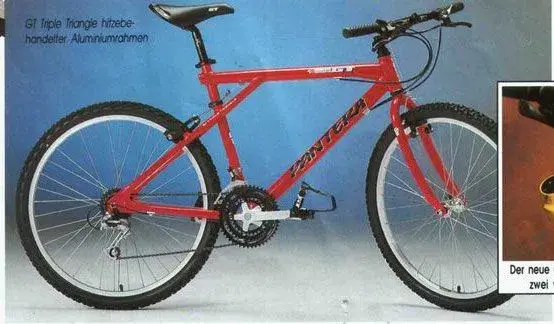 92-Pantera.webp