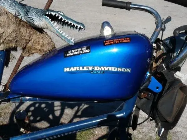 redneck-harley-pic-of-day03-600x450.webp