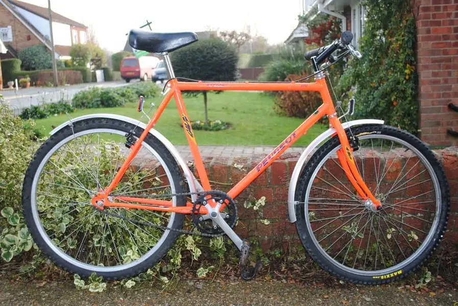 Peugeot singulator.webp