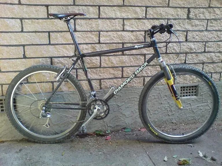 Diamondback1.webp