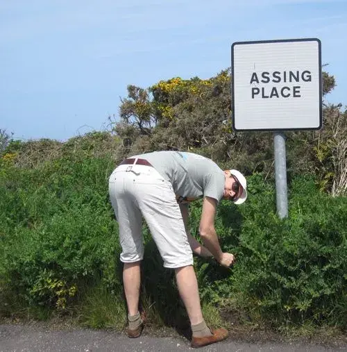 Bum steer.webp