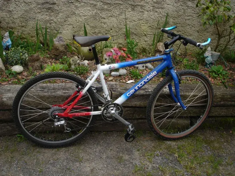 Cannondale M600.webp