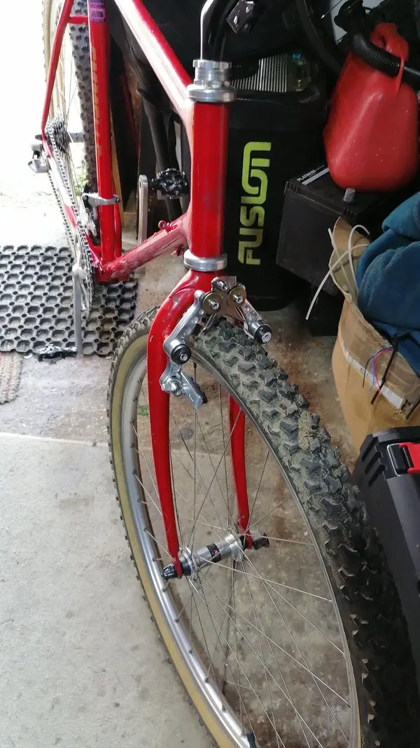 IMG-20220312-WA0000.webp