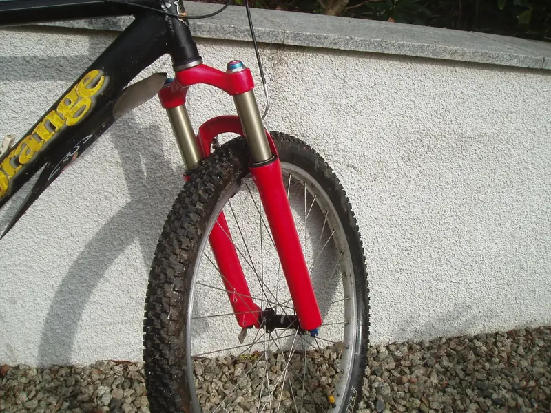 P1010064 (3).webp