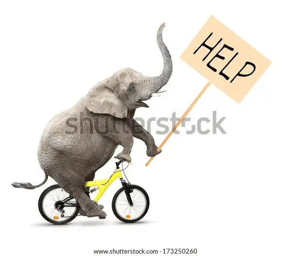 1647427849829.png