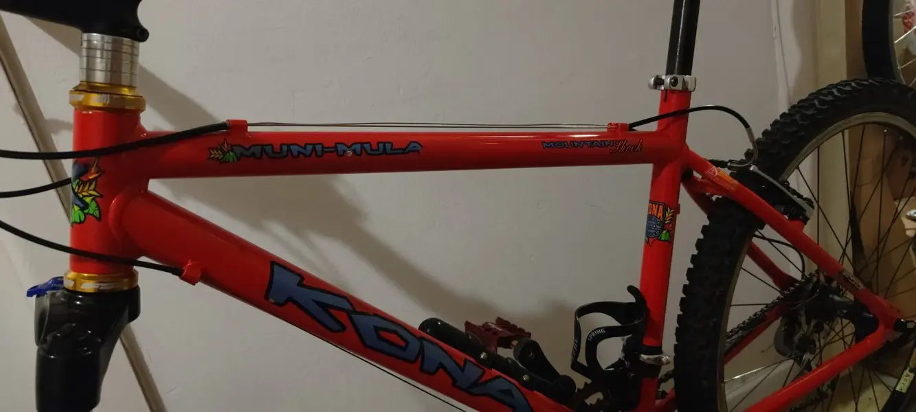 Kona muni mula for sale outlet