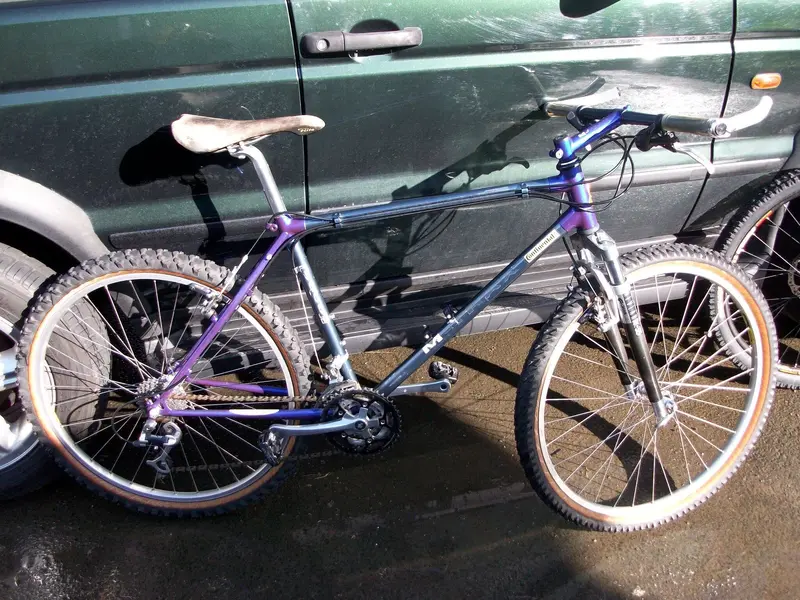 100_0355.webp