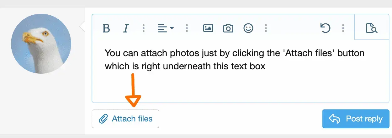 Screenshot 2022-03-21 at 12.02.07.webp