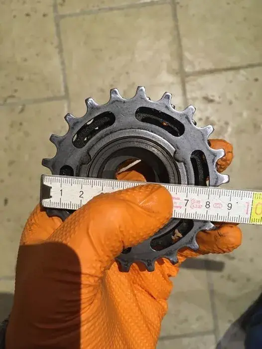 277663074_7681633891854691_1276623786237126776_n.webp