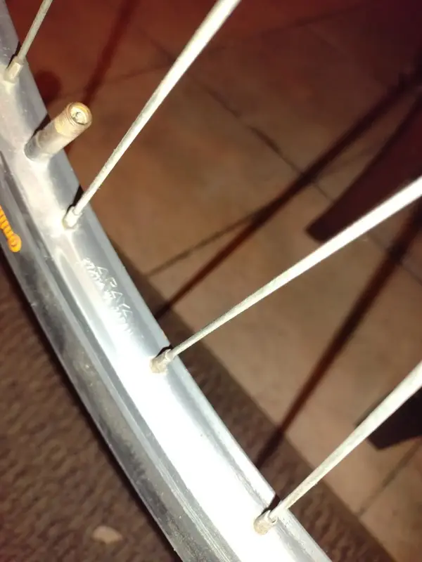 wheel3.webp