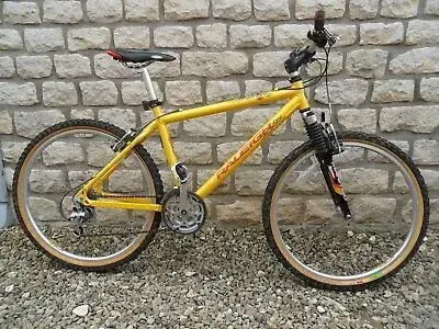 Raleigh-Special-Products-Pro-Line-M-Trax-150-Retro-Mountain.webp