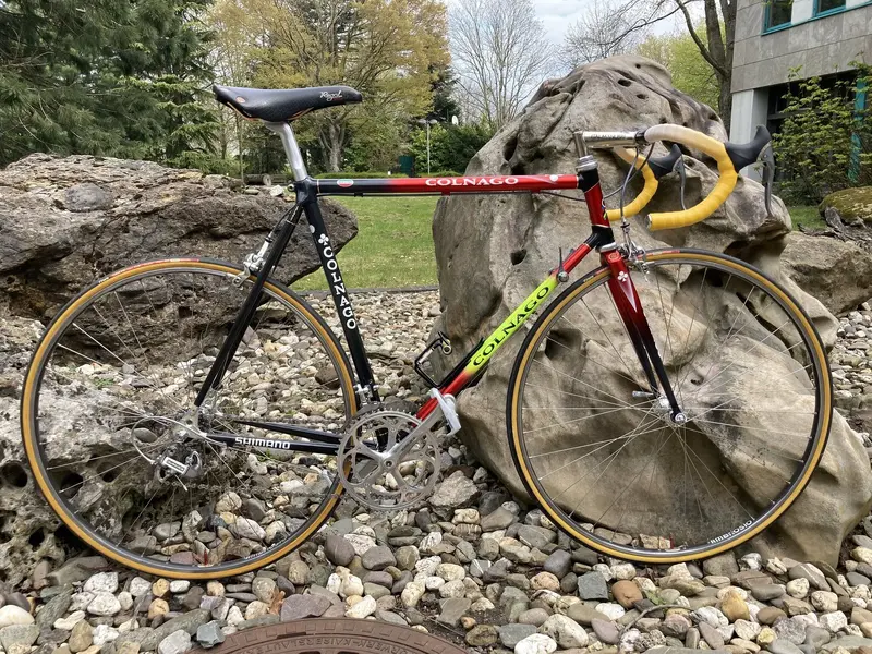 GridnoColnagoCarbitubo.webp