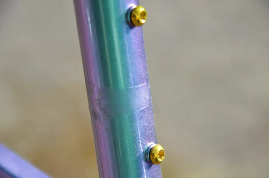 DSC_7278.webp