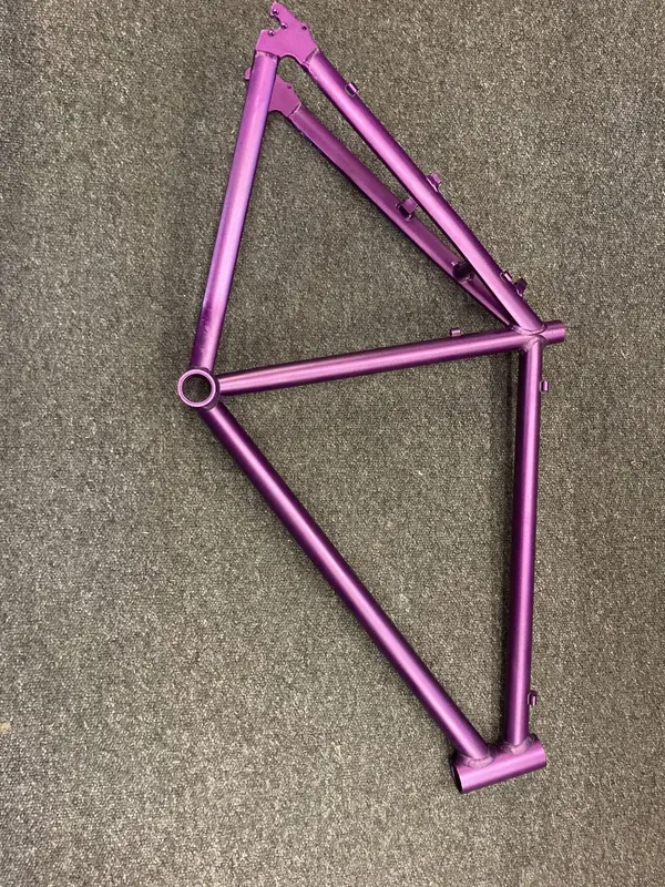 purp5.webp