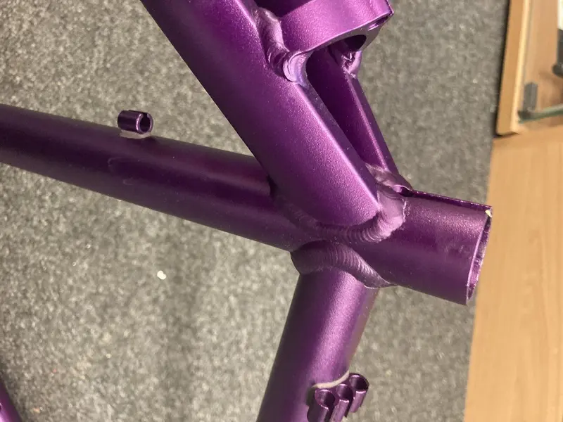 purp4.webp