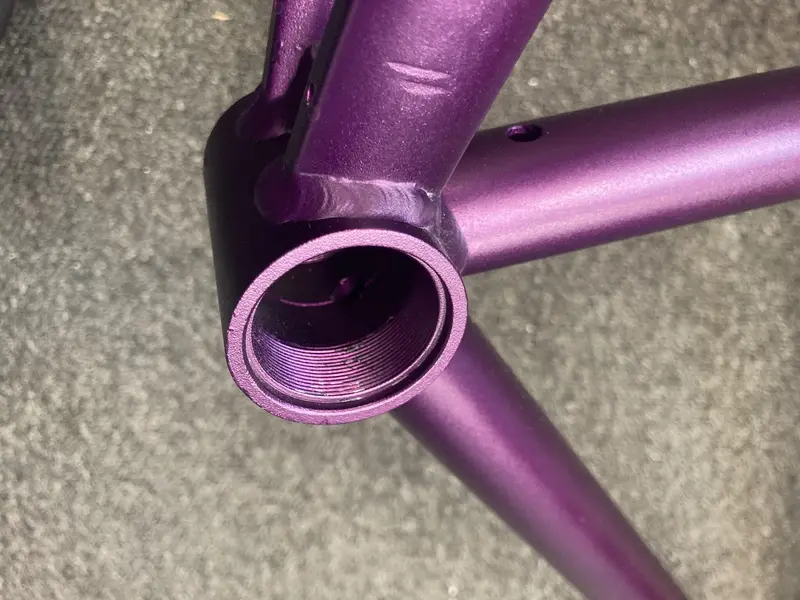 purp3.webp