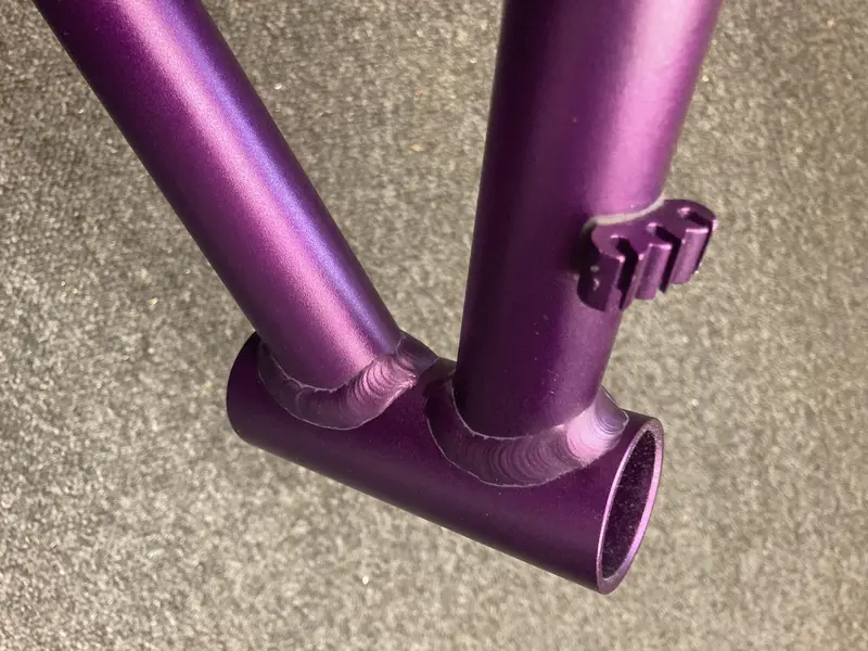 purp1.webp