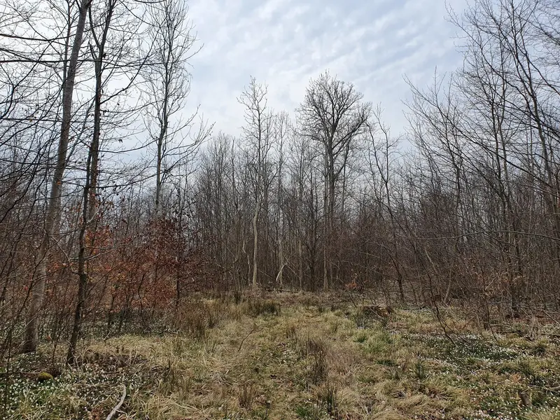 20220413_183631.webp