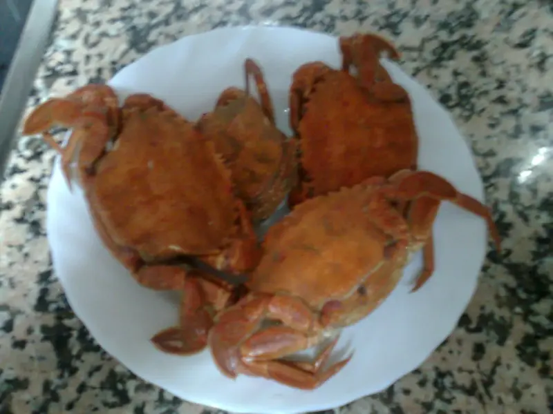 Imagen0040.webp