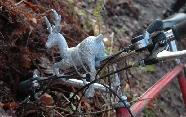 Deerhead gruppo.webp